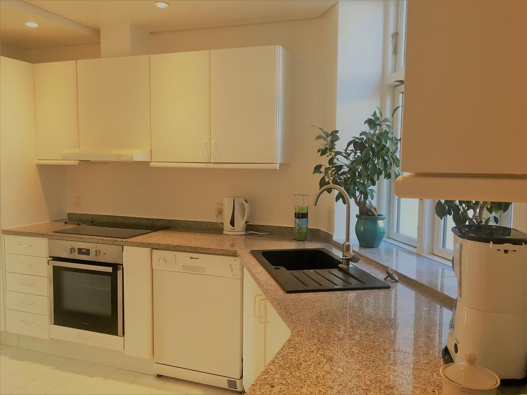 City View Apartment קופנהגן מראה חיצוני תמונה
